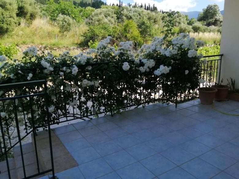 Rosegarden Villa Sami  Exteriör bild