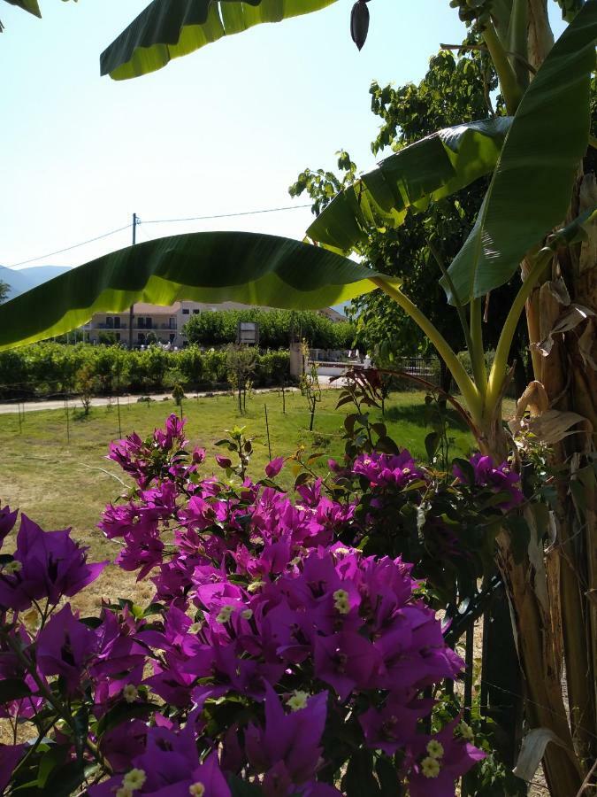 Rosegarden Villa Sami  Exteriör bild